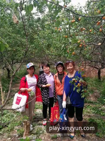 杏运体育平台最新版本v2.1.0技术详解