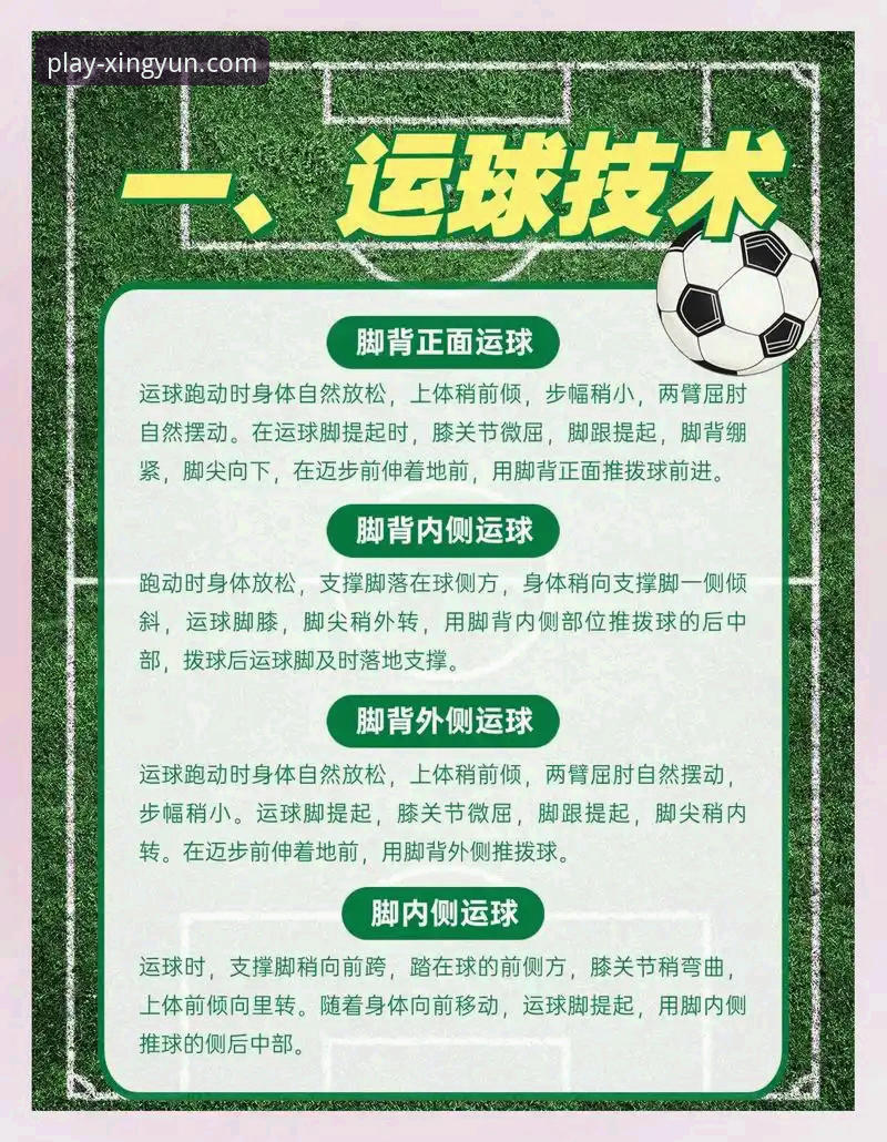 杏运体育老版本下载实用指南：资深用户分享稳定体验与避坑技巧